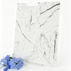High Gloss Scratch-resistant Acrylic Laminate