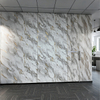 WPC Wall Panel